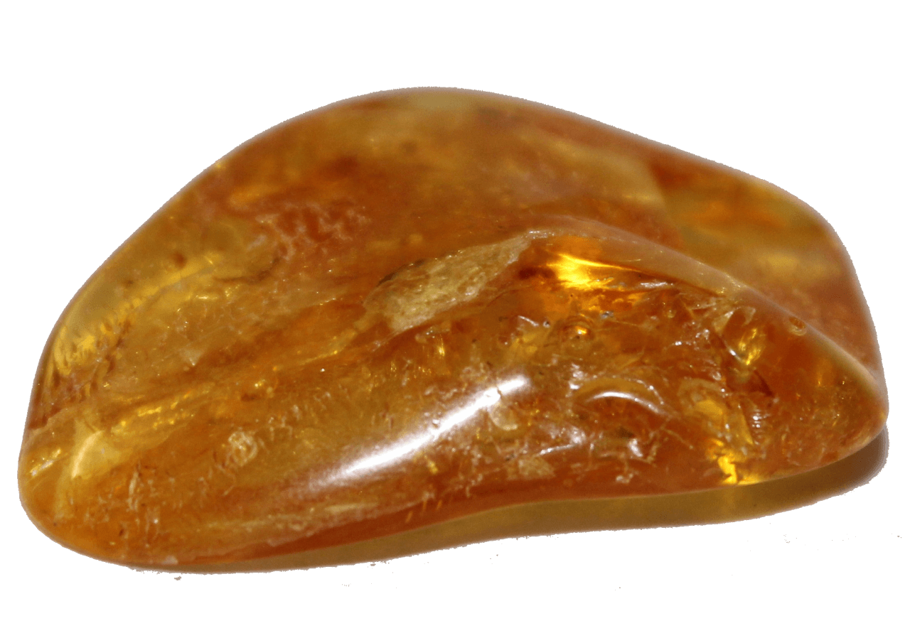 Unveiling the Meaning of Baltic Amber - All You Need to Know