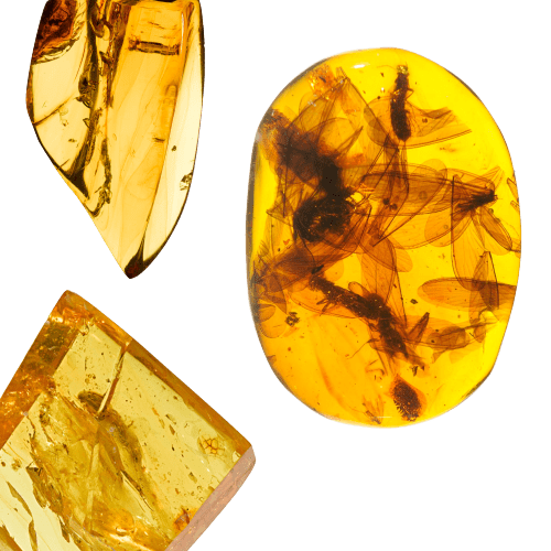 Amber Gemstone Uses & Crystal Healing Properties – Lily Rose Jewelry Co